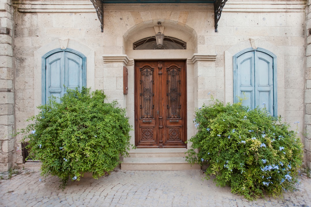 Elevate Your Interiors with Quality Wooden Doors from Timber Asylum Elevate Your Interiors with Quality Wooden Doors from Timber Asylum
